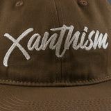 Brown cap