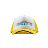 Yellow trucker