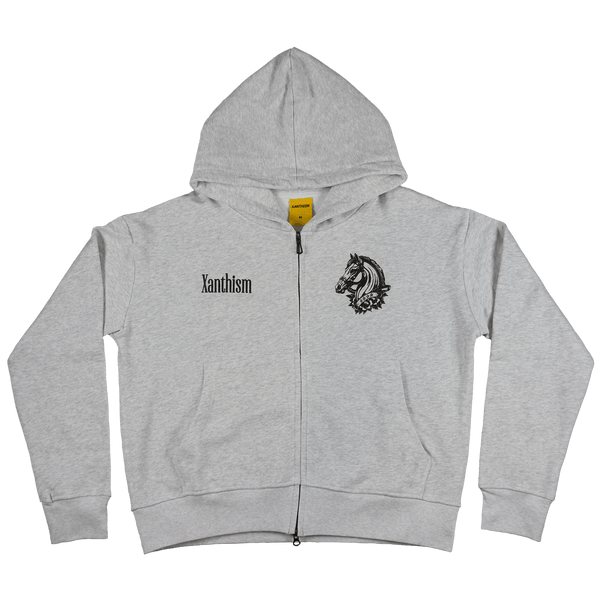 Four stars double zip hoodie